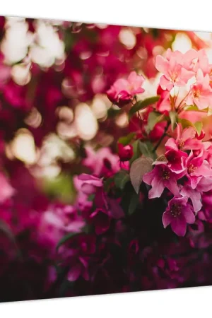 Oferta limitowana Schilderij - Bloeiende struik