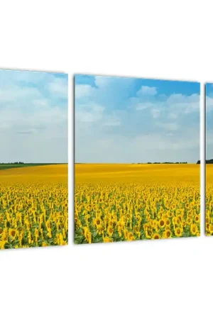 Schilderij - Zonnebloemenveld Wysoka jakość