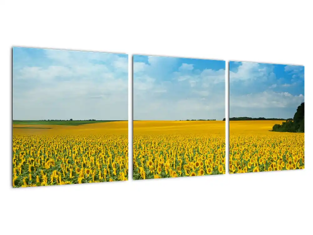 Schilderij - Zonnebloemenveld Wysoka jakość