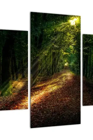 Schilderij - Bospad Kup teraz