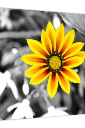 Oferta limitowana Schilderij - Gele bloem