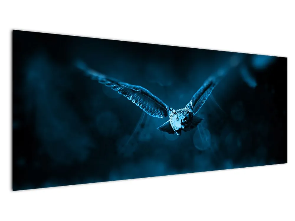 Popularny Schilderij - Vliegende uil