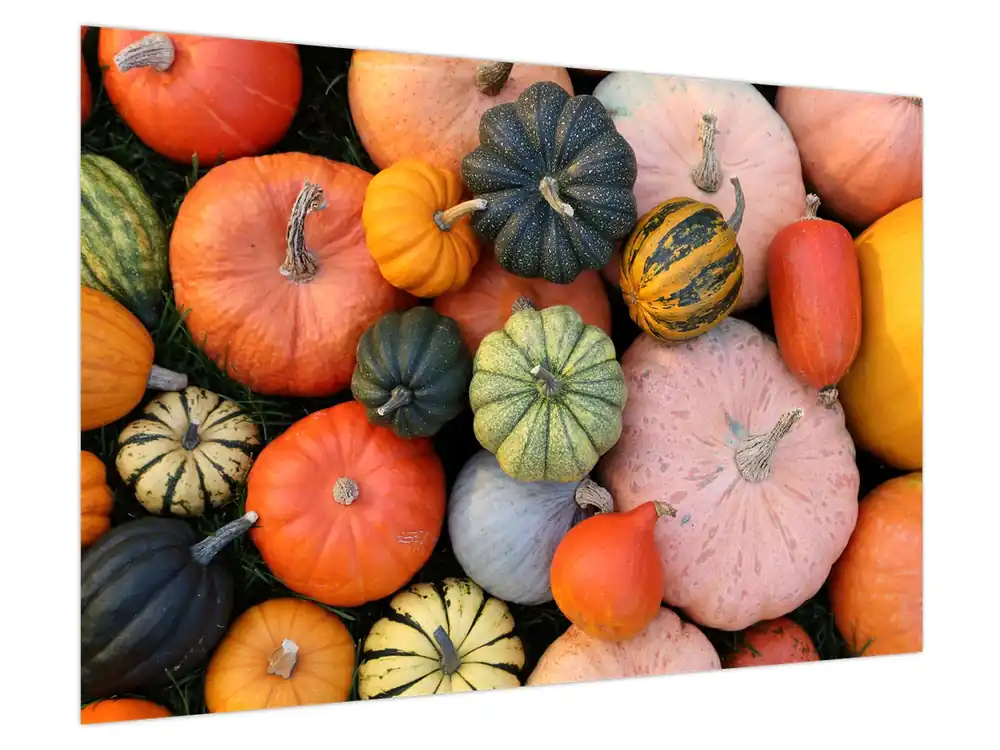 Schilderij - Pompoen Premium