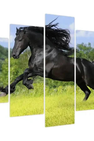 Tylko dziś Schilderij - Paard met vloeiende manen