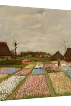 Premium Schilderij - Vincent van Gogh, Bloembedden in Holland, reproducties