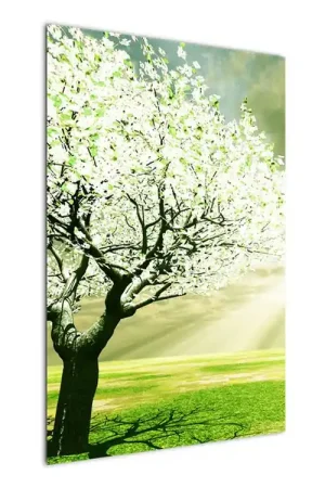 Bezpieczna płatność Schilderij - Boom in bloei