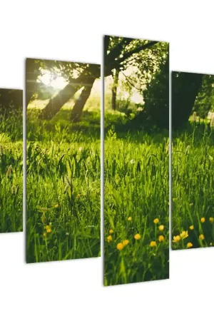 Schilderij - Natuur, weiland Rabat