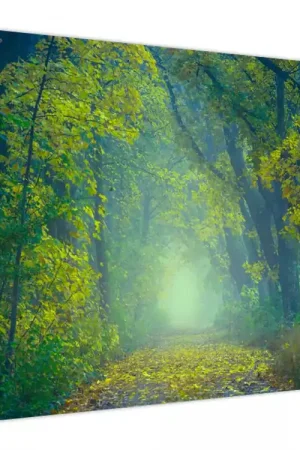 Szybka dostawa Schilderij - Weg met bomen