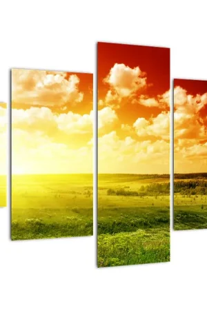 Schilderij - Weiland in de zomer Premium