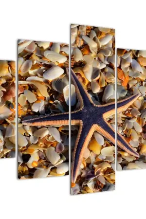 Schilderij - Zeester Niska cena