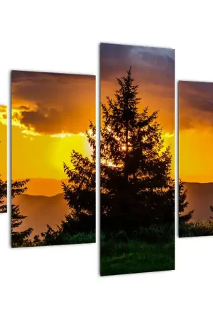 Ostatnia szansa Schilderij - Naaldbomen