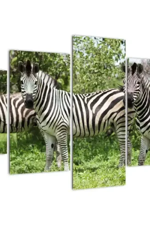 Oferta limitowana Schilderij - Zebra´s