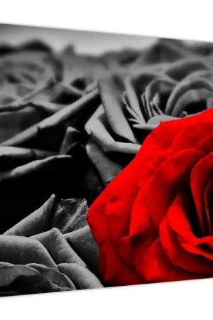 Zwrot pieniędzy Schilderij - Rozenbloesems