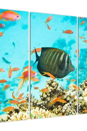 Schilderij - Onderzee wereld Autentyczny