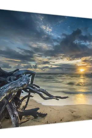 Schilderij - Zee bij zonsondergang Darmowa dostawa