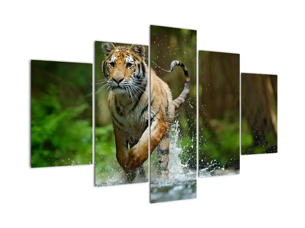 Schilderij - Rennende tijder Tani