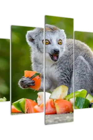 Schilderij - Ringstaartmaki Zwrot pieniędzy