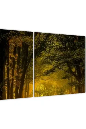 Promocja Schilderij - Bos