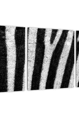 Schilderij - Zebrahuid Popularny