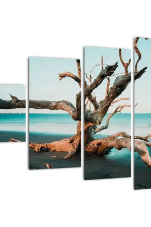 Schilderij - Aangespoeld op het strand Tylko dziś