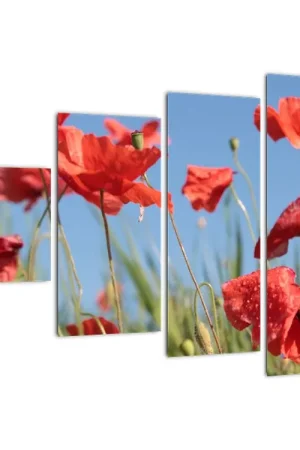 Schilderij - Klaprozen Premium