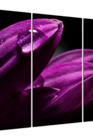 Oryginalny Schilderij - Waterdruppel