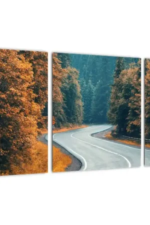 Premium Schilderij - Slingerende weg