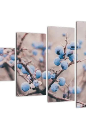 Schilderij - Bessenstruik Rabat