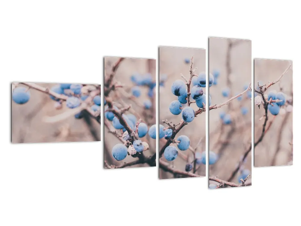 Schilderij - Bessenstruik Rabat