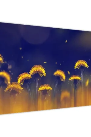 Premium Schilderij - Paardenbloemen