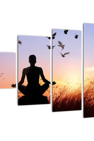 Bezpieczna płatność Schilderij - Meditatie