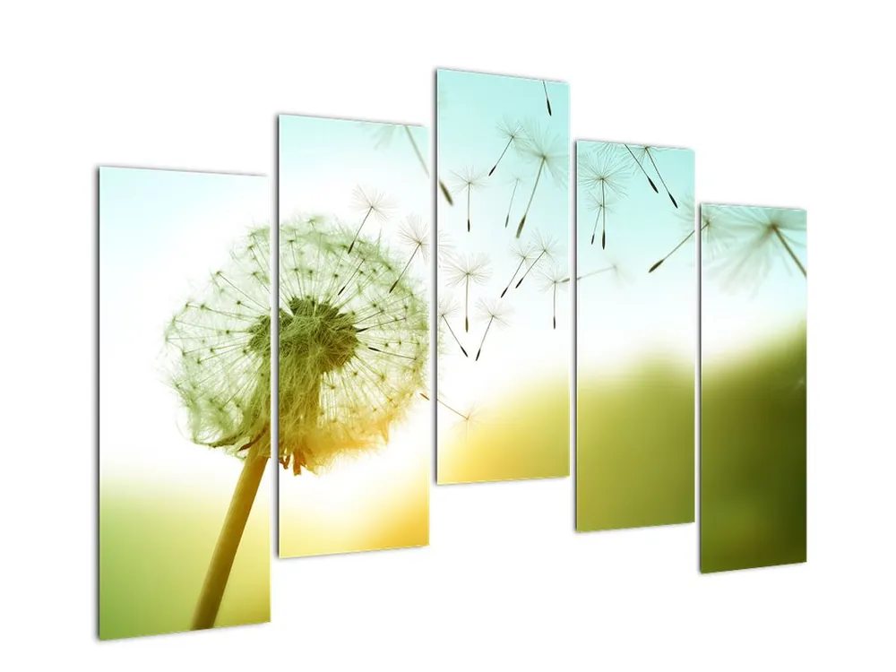 Schilderij - Paardebloem in de wind Oferta