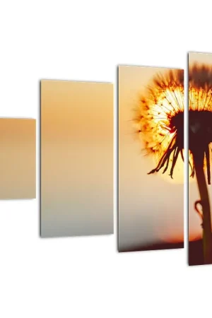 Niska cena Schilderij - Paardebloemen bij zonsondergang