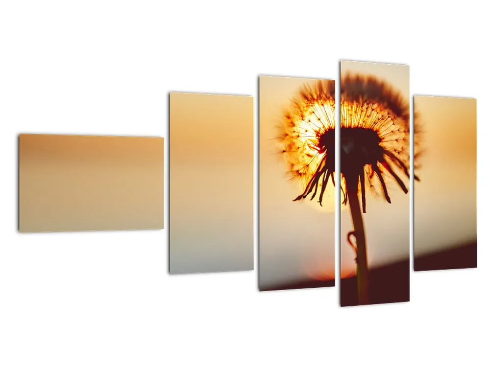 Niska cena Schilderij - Paardebloemen bij zonsondergang