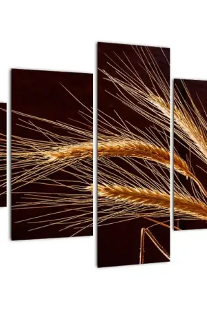 Schilderij - Rogeaar, detail Popularny