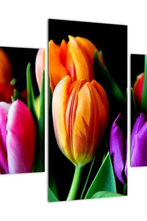 Szybka dostawa Schilderij - Tulpen op een zwarte achtergrond