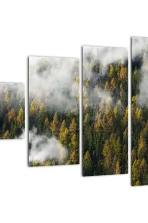 Schilderij - Bos in de wolken Oryginalny