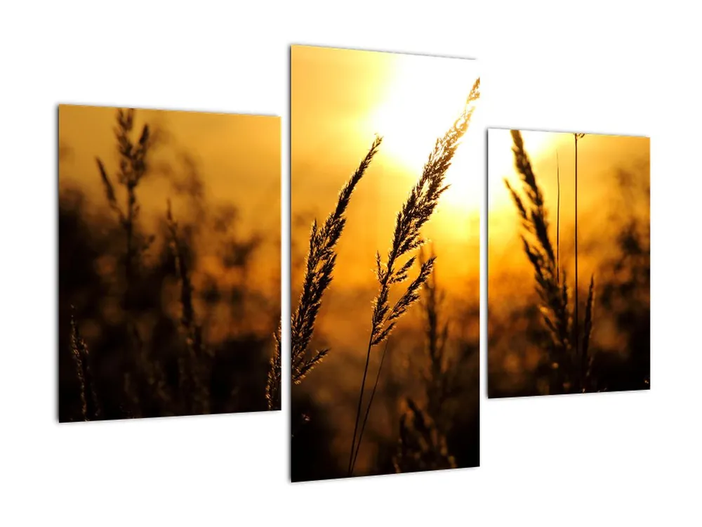 Najlepsza cena Schilderij - Zonsondergang