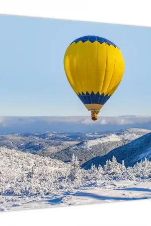 Oferta limitowana Schilderij - Vlucht boven een winterlandschap