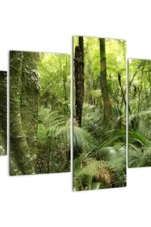 Niska cena Schilderij - Tropisch regenwoud