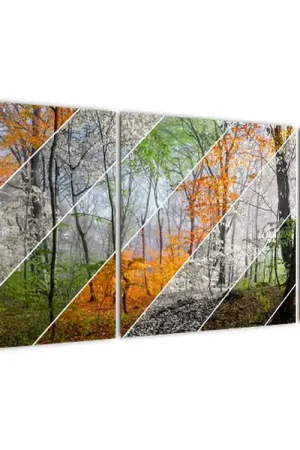 Schilderij - Wisselen van de seizoenen Premium