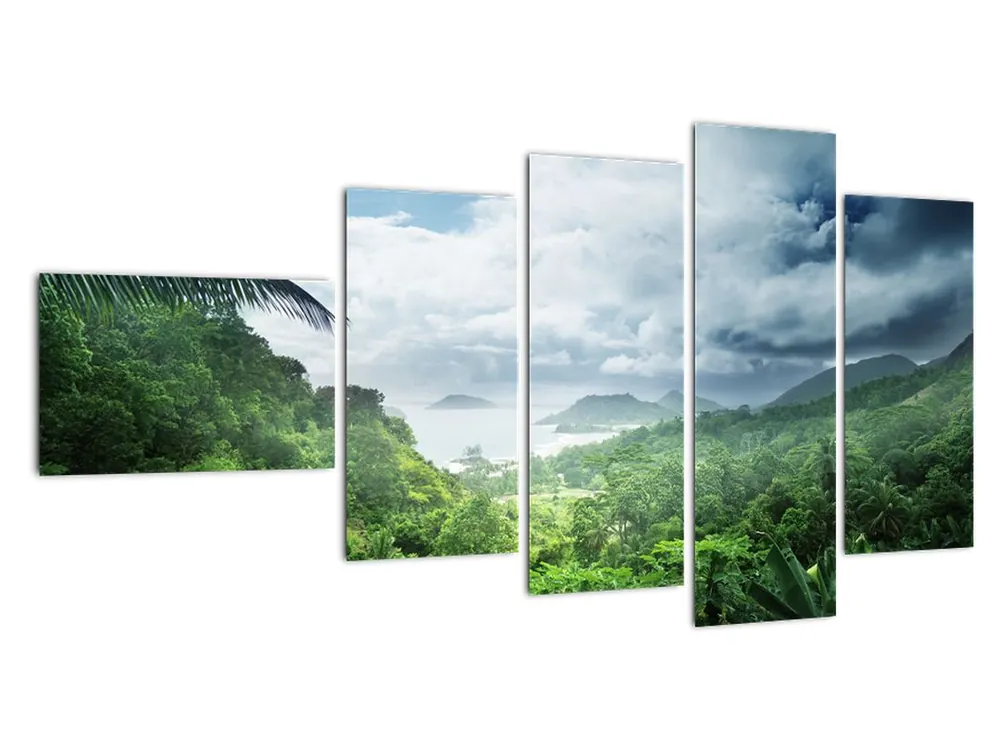 Schilderij - Jungle van de Seychellen Promocja