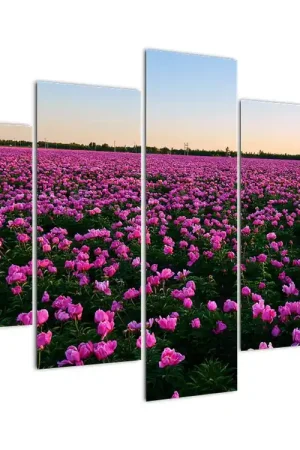 Schilderij - Weiland met paarse tulpen Oryginalny