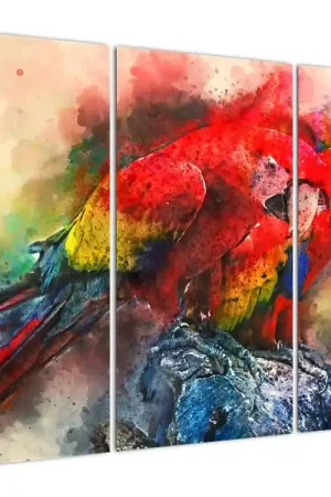 Niska cena Schilderij - Rode ara´s