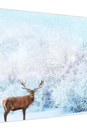 Wyprzedaż Schilderij - Majestueuze hert