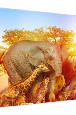 Ekspresowa dostawa Schilderij - Diertjes van Afrika