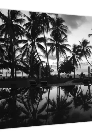 Schilderij - Tropisch eiland Wysoka jakość