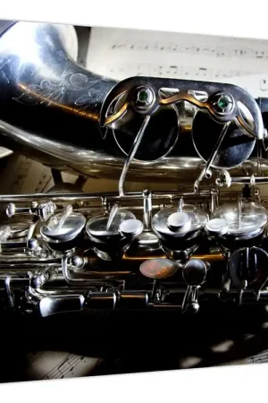 Schilderij - Saxofoon Tani