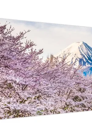 Niska cena Schilderij - Japan in de lente