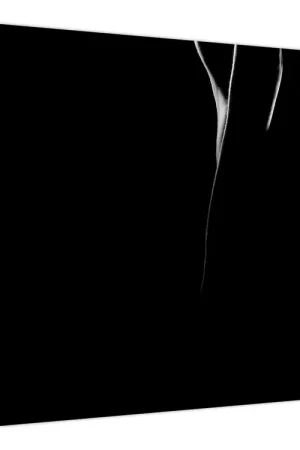 Niska cena Schilderij - Silhouet van een naakte vrouw